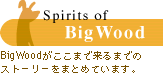 Spirits of BigWood b BigWood܂ŗ܂ł̃Xg[[܂Ƃ߂Ă܂B